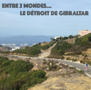 cover_DETROIT_GIBRALTAR_Plan de travail 1